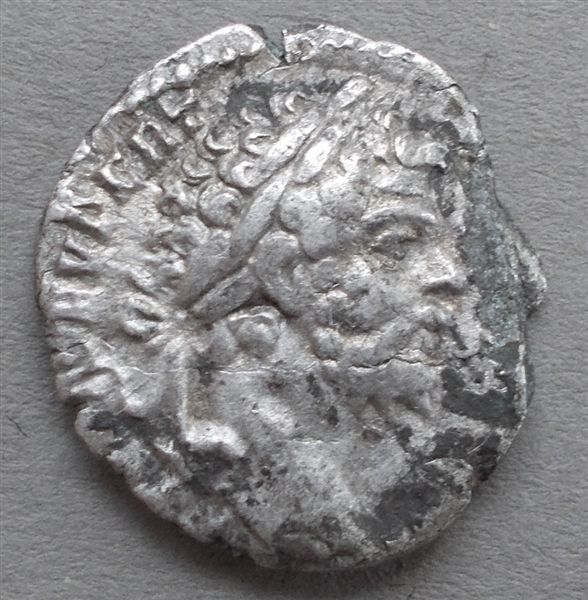 Severus-Denarius